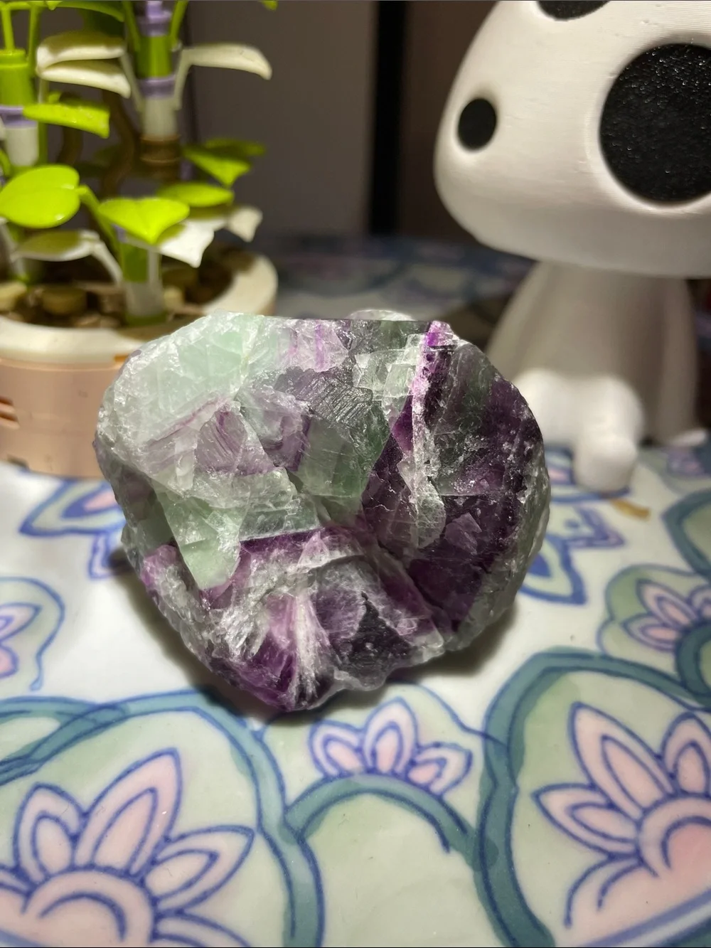Rainbow Fluorite Bundle